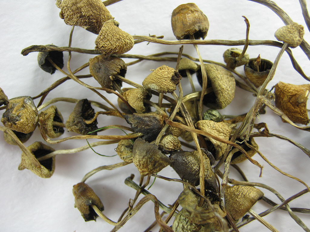 buy liberty caps online.jpg buy liberty caps online.jpg