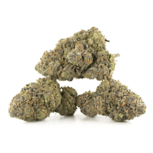 cookies gelato 2 300x300 1.png cookies gelato 2 300x300 1.png