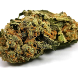 glueberry og 300x300 1.png