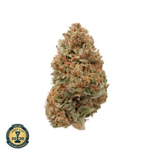 hawaiian haze cbd flower cup winner 300x300 1.jpeg