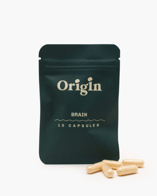 origin brain 10pack front 800x1000 1 510x638 4.jpeg origin brain 10pack front 800x1000 1 510x638 4.jpeg