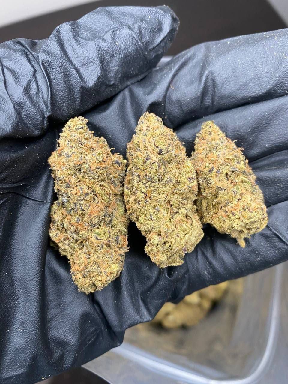 buy weed in hamburg.jpeg buy weed in hamburg.jpeg