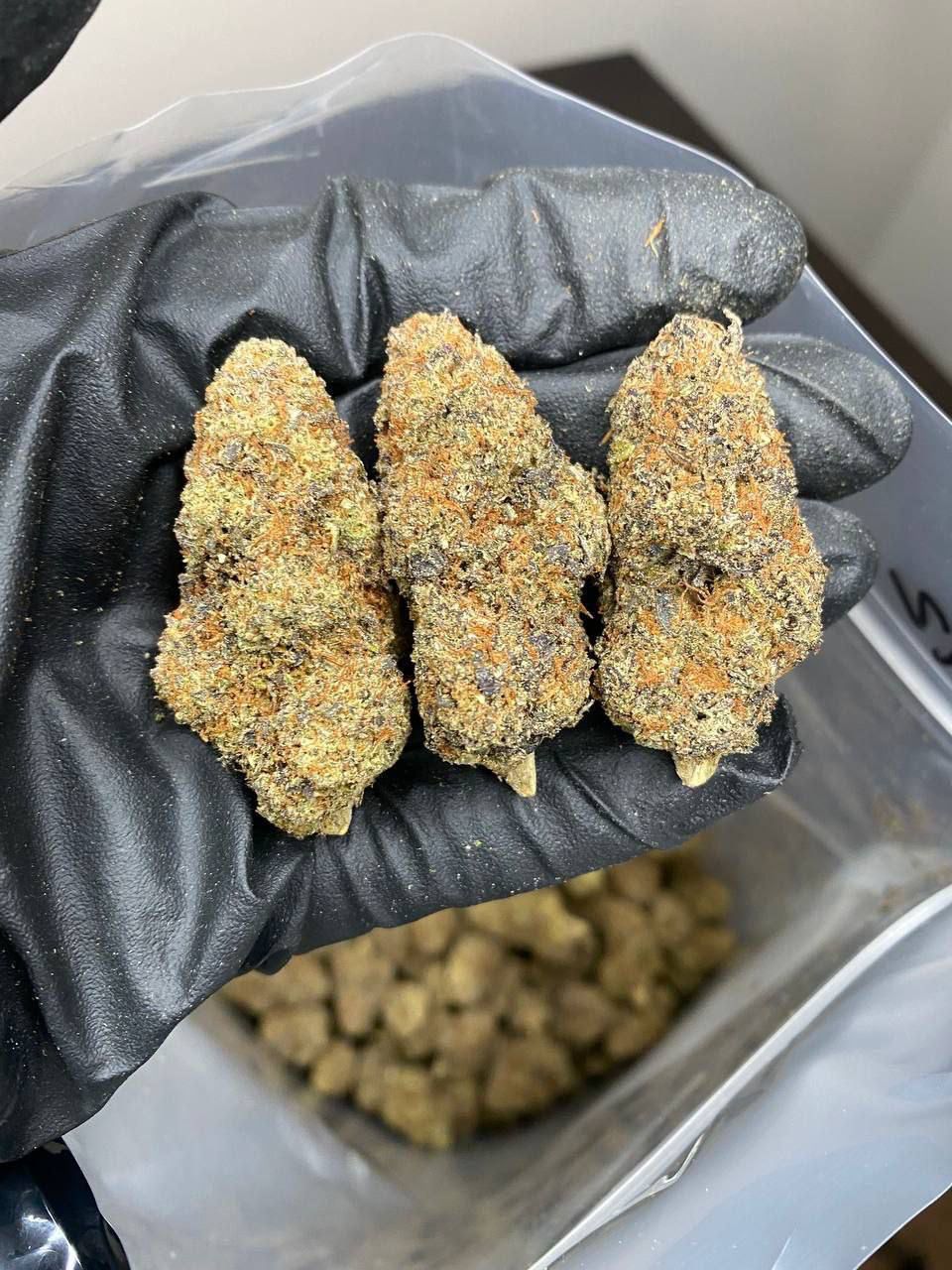 buy weed online.jpeg buy weed online.jpeg